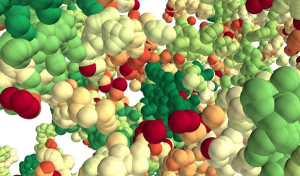 a 3D forest of chromatin