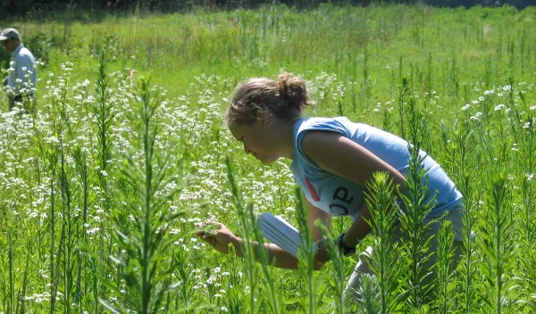 Photo of a student observing patterns of flowering and pollinators.
