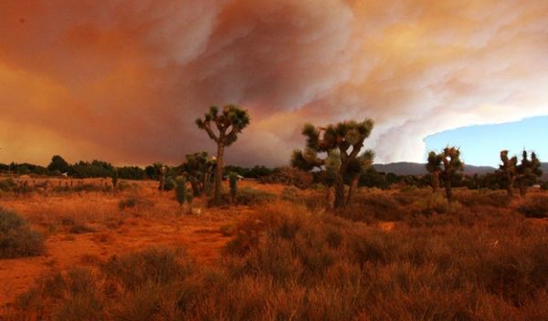 Southern California Fires