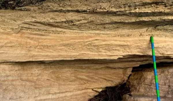 herringbone pattern in sand