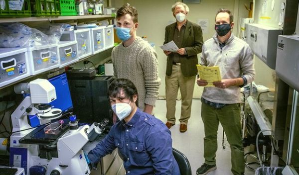 researchers in the laboratory