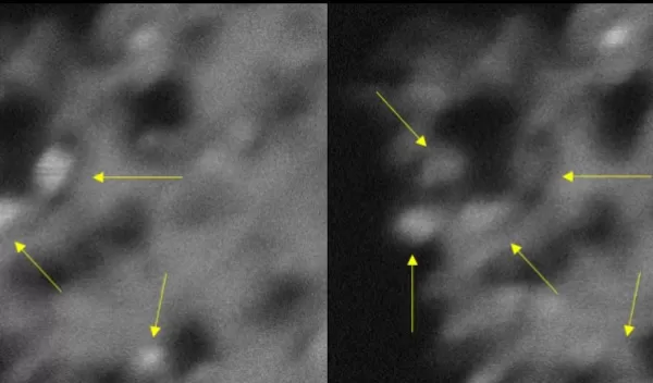 the arrows point to titanium dioxide nanocrystals