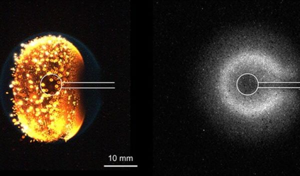 Left: view from a normal color camera; right: view from a highly sensitive intensified cameraâ¯