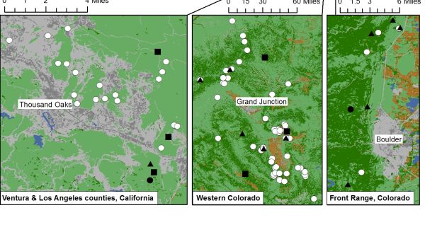 Map of the areas in California and Colorado where bobcats frequent were studied by scientists.