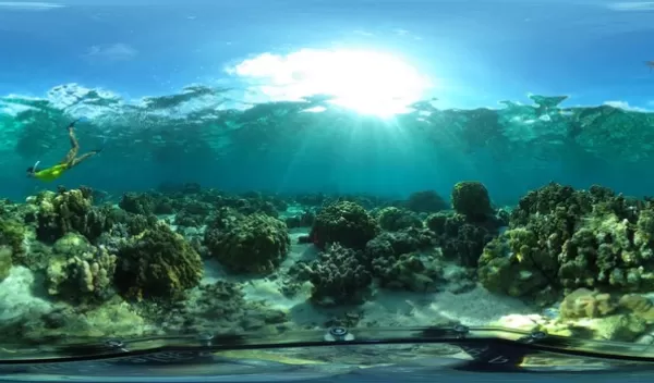 Reefscapes of the Moorea backreef