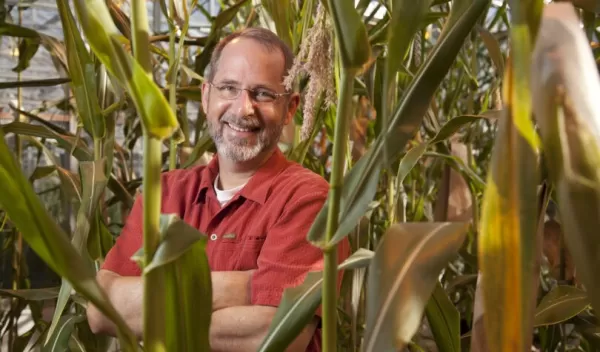 A genetics team is making new discoveries leading to better corn plants.