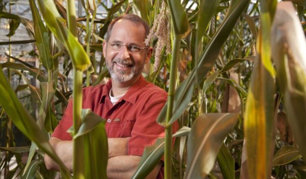 A genetics team is making new discoveries leading to better corn plants.