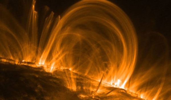 coronal loops