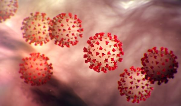coronavirus particles