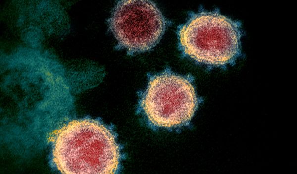 coronavirus spread