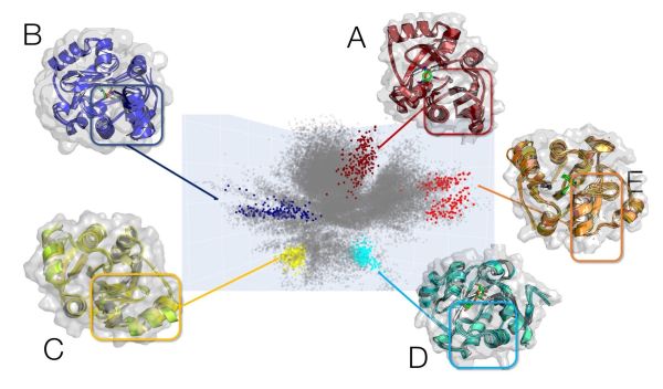 ligands
