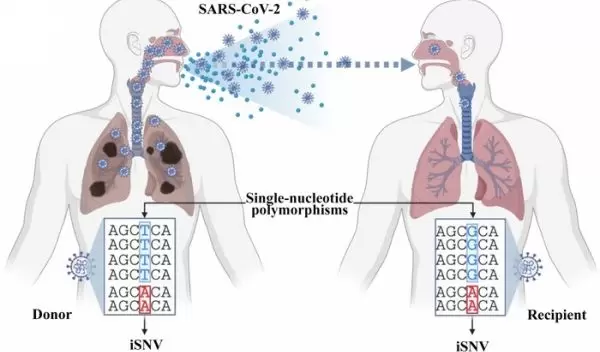 illustration defines what differentiates single-nucleotide variants within a single host