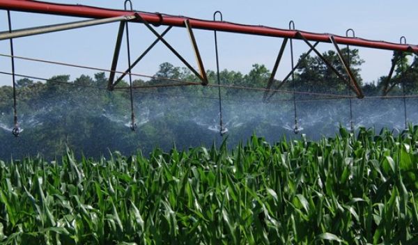 crop irrigation