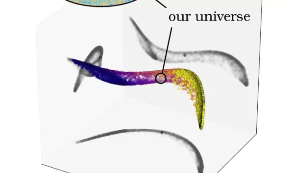 visualization showing predictions of what patterns would look like in different universes