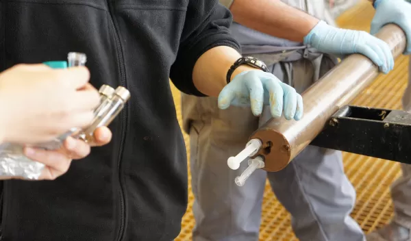 microbes collected from deep-sea sediment