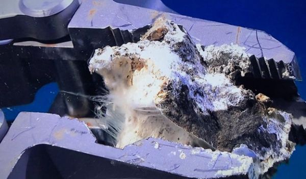 samples of carbonate rocks