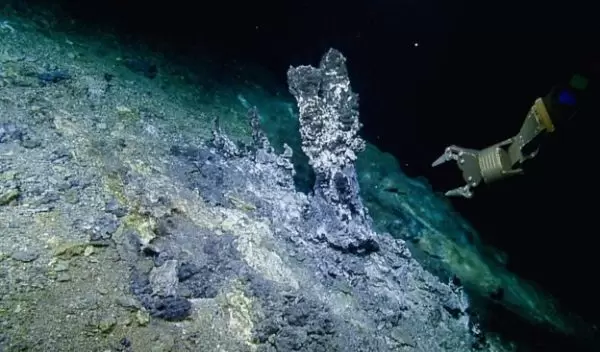 The Apollo Vent Field at the northern Gorda Ridge, where samples were collected.