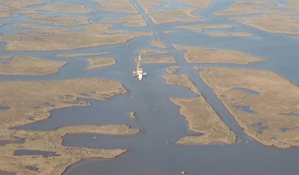 salt marshes about 30 miles (50 km) southeast of New Orleans