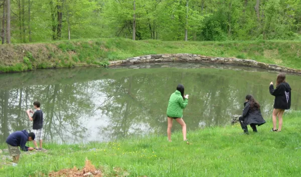 Photo of students exploring a pond ecosystem with mobile phones.