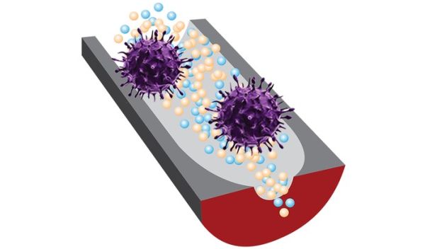 A new sensor can distinguish infectious viruses from noninfectious ones.