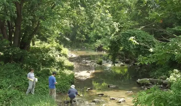 Water sampling in a Gwynns Falls stream