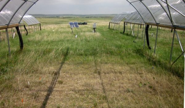 drought shelter