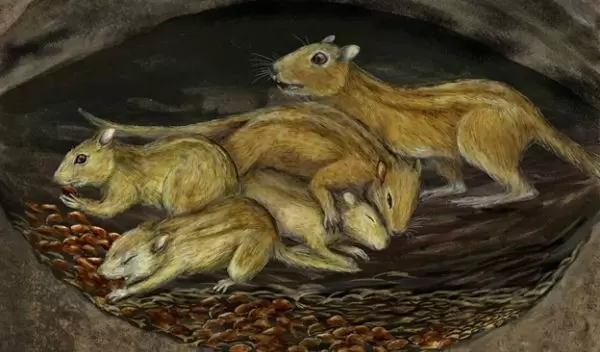 an artistic reconstruction of a social group of Filikomys primaevus