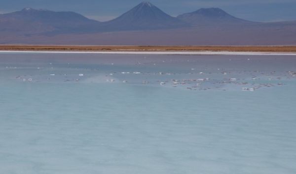 Chile's Laguna La Brava