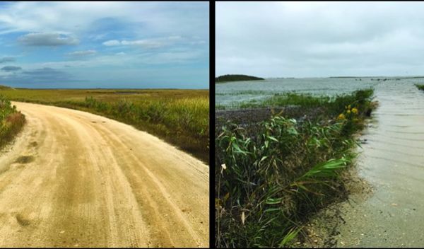 Edwin B. Forsythe National Wildlife Refuge