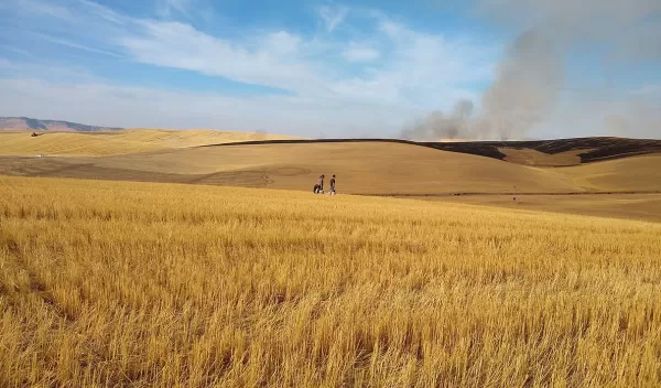 Researchers can assess soil health by measuring the electric current produced by its tiniest microbes.