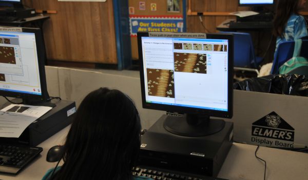 Photo of fourth-graders using Evolution Readiness software.