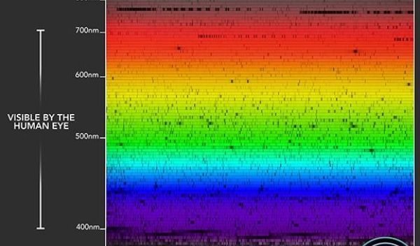 An image of NEID's spectroscopic observations of the Sun
