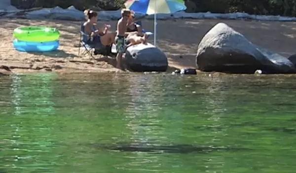 The public could play a role in helping scientists document filamentous algal blooms