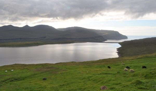 This lakebed on the island of Eysturoy contains sediments that document the first arrival of sheep.