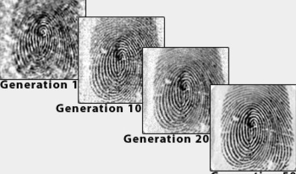 Fingerprint image quality through subsequent generations of genetic algorithm evolution.