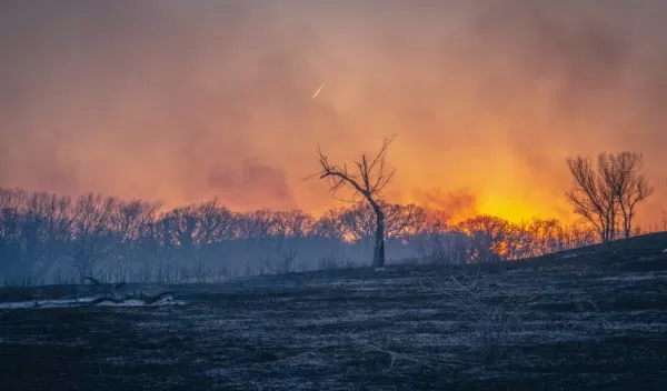 the sun sets over a prescribed burn at the Konza Prairie Biological Station