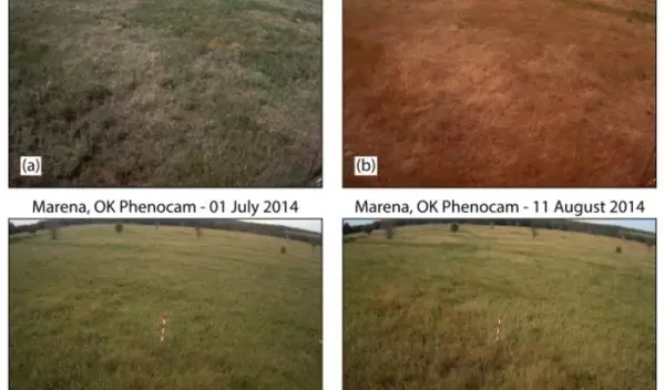 Impact of a flash drought compared with photos of the same area without flash drought (bottom row).
