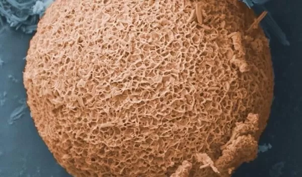 Closeup image of a porous nanostructured particle made from fly ash