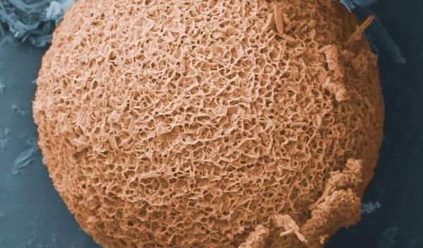 Closeup image of a porous nanostructured particle made from fly ash