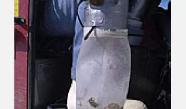 Photo shows a net bag with foram samples.