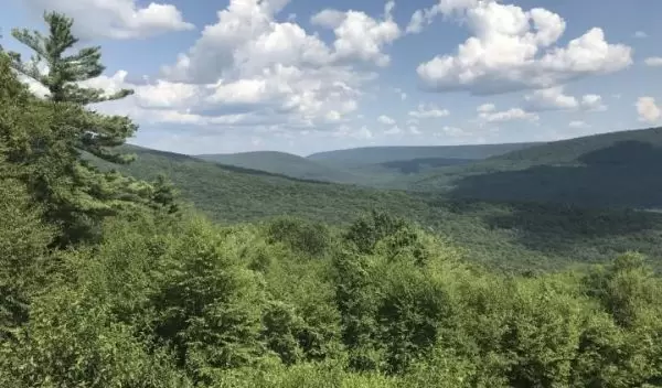 Appalachian Ridge and Valley Region