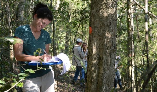 Erica Smithwick measures trees to quantify carbon stocks