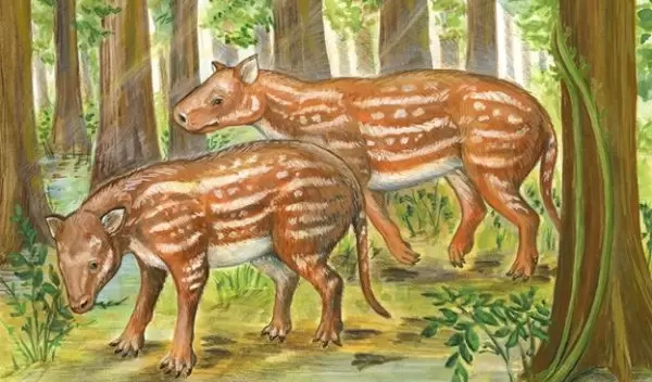 life reconstruction of Cambaytherium