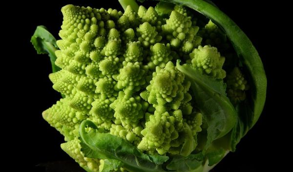 The fractal nature of Romanesco broccoli