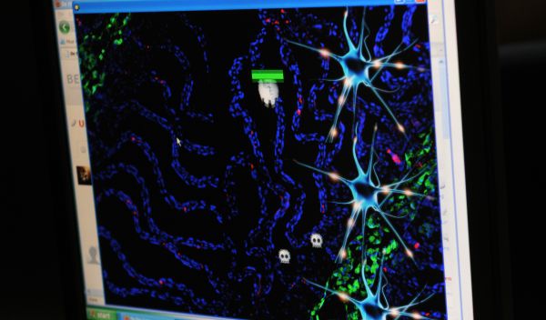 Screen shot of immunology-based game.