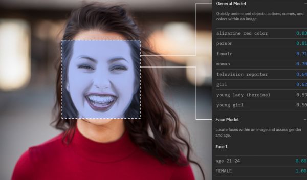 illustration of how facial analysis sees you