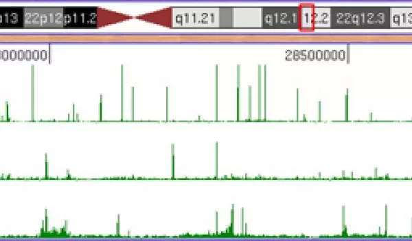 Schematic diagram showing human chromosome 21 with a small region outlined in red.