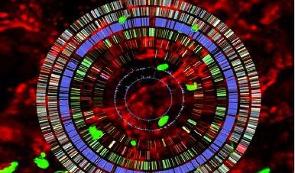 circle of bright red and green lights.