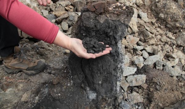 a lump of coal weathering out from Siberian flood basalts