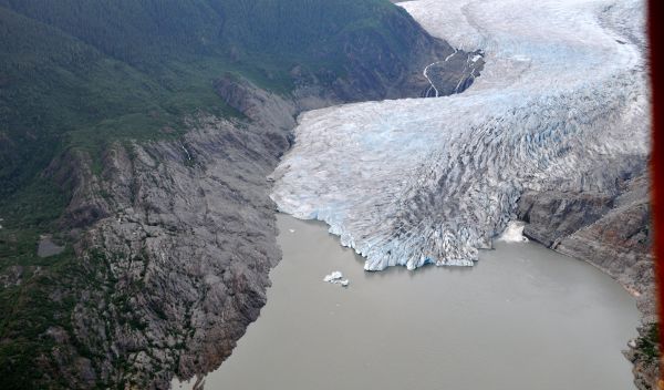 Aerial photo of new forests above the shrinking Mendenhall Glacier.